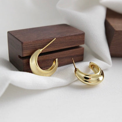 Smooth Curve Earrings